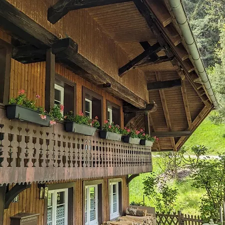 Im Historischen Schwarzwaldhaus Apartment Wieden
